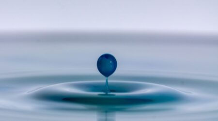 Macro Photography Techniques