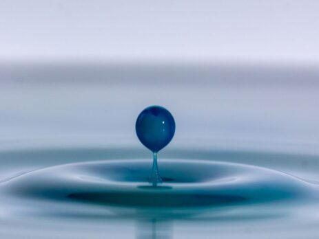 Macro Photography Techniques