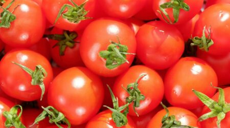 Demystifying a Plant-Based Diet