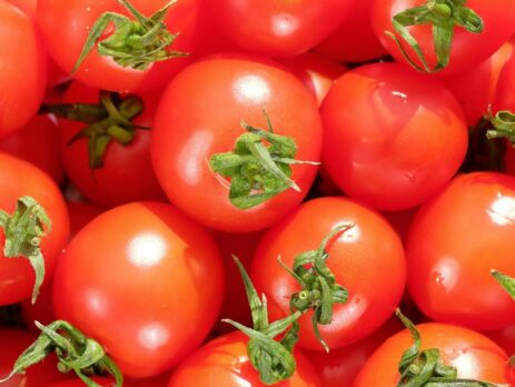 Demystifying a Plant-Based Diet